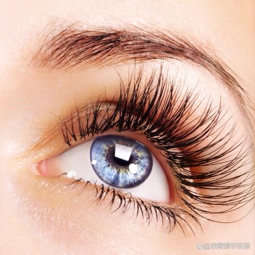 Sentences describing beautiful eyelashes(pic1)