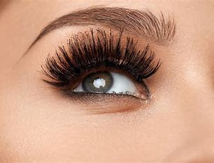 Image result for eyelashes