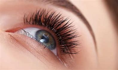 Image result for eyelashes