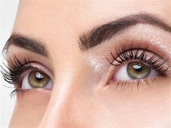 Image result for eyelashes