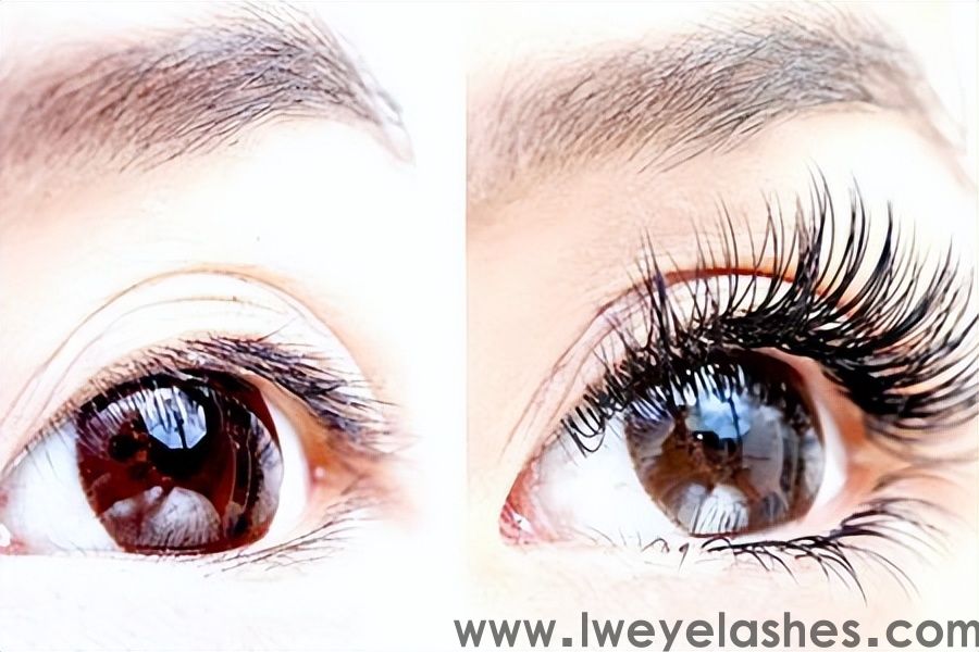 How to choose the right false eyelashes for beginners (natural and beautiful false eyelashes recommended)(pic3)