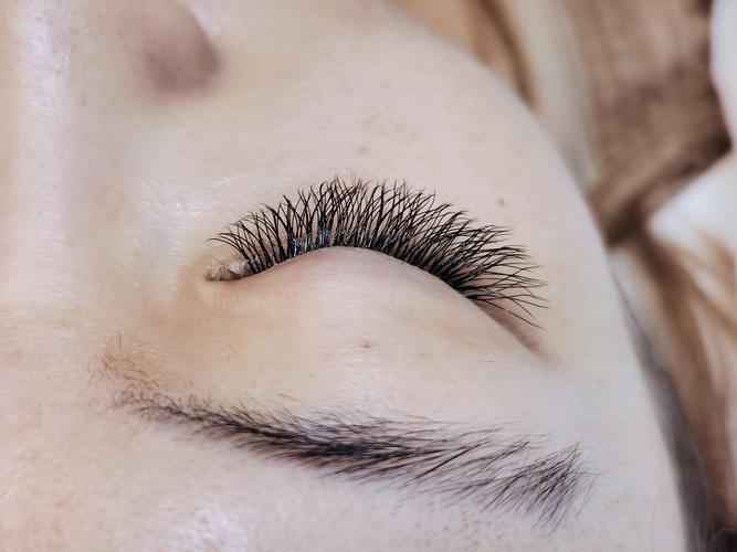 How much does permanent eyelash implantation cost(pic1)